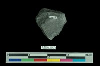 藏品(方鉛礦)的圖片